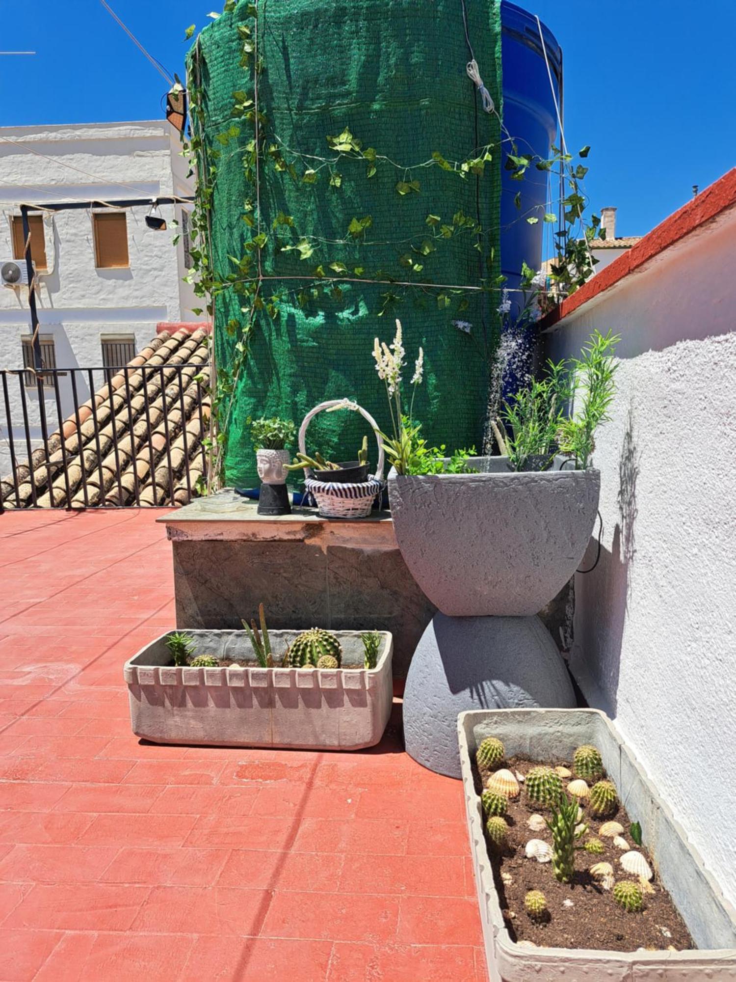 ハエンCasa Palomaアパートメント エクステリア 写真